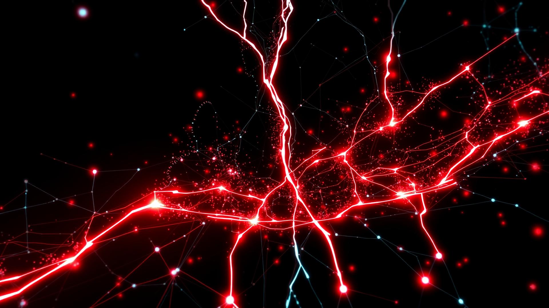 Six Red Flags Behind an AI-First Label That Does Not Hold Up